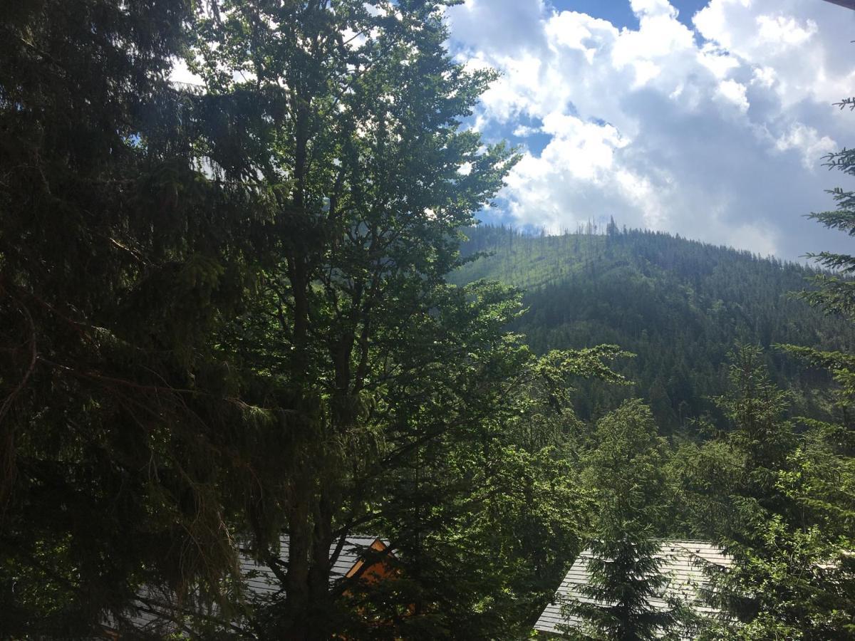 Apartmán Jeleň Chopok Juh-Trangoška Tale Exterior foto